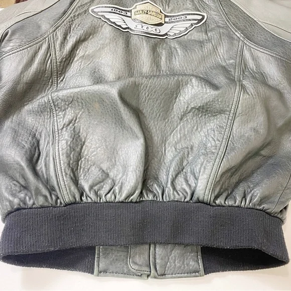 Harley Davidson 100th Anniversary Leather Bomber Jacket Size Medium - Picture 10 of 12
